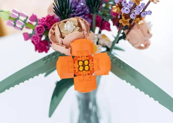 Daire Souvenirs D'enfance-la Bonne Marienne-la Madeleine